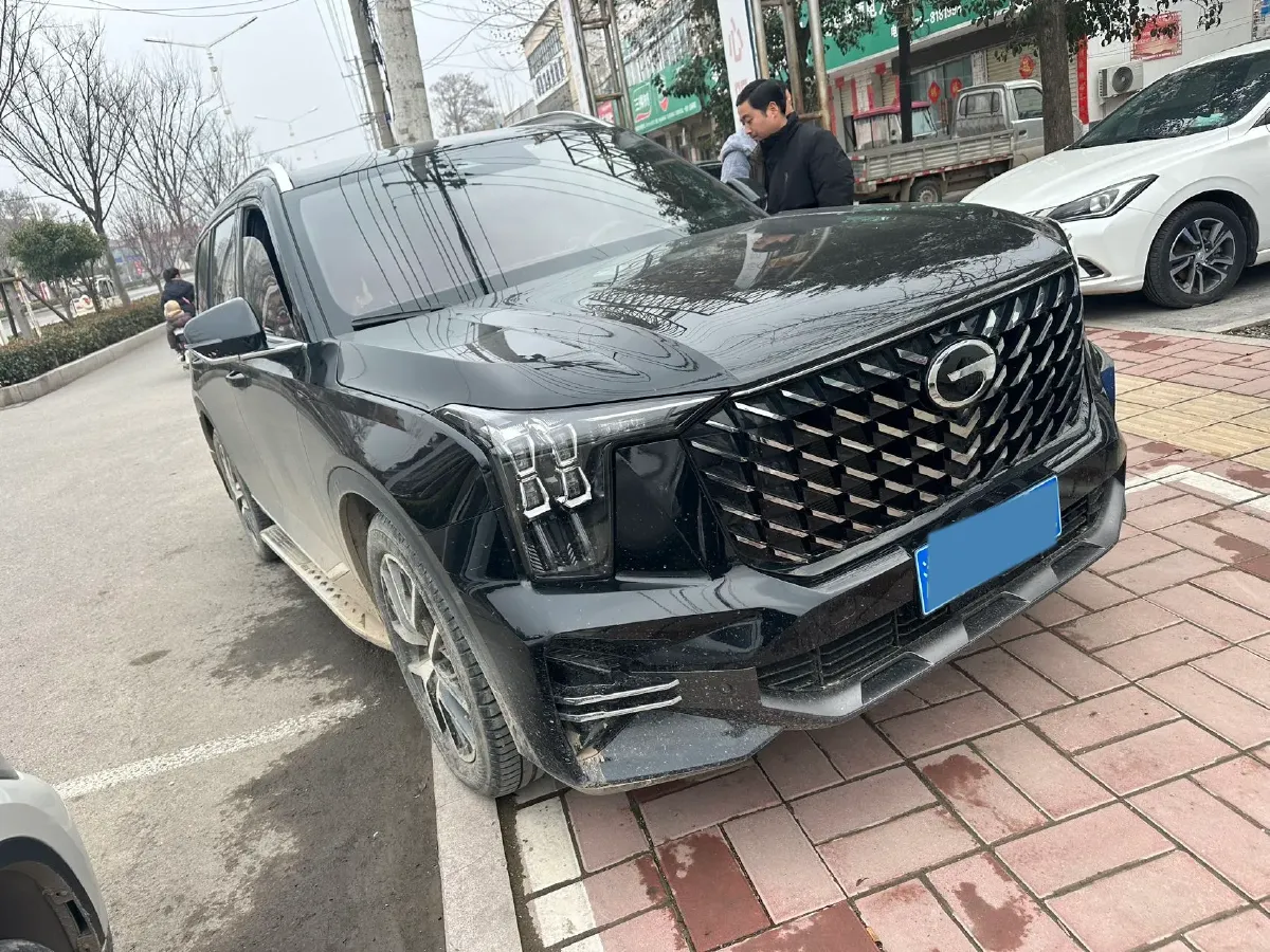 2024 GAC Trumpchi GS8 2.0T 252HP L4 8AT,autocango,china used car exporter,china ev exporter,chinese used car exporter,chinese used ev exporter