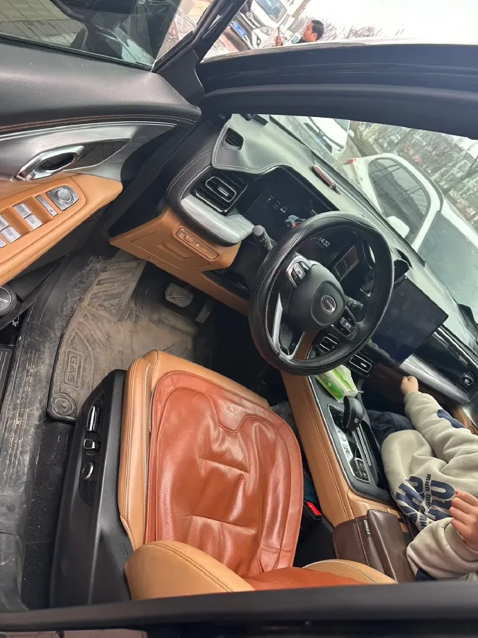 2024 GAC Trumpchi GS8 2.0T 252HP L4 8AT,autocango,china used car exporter,china ev exporter,chinese used car exporter,chinese used ev exporter