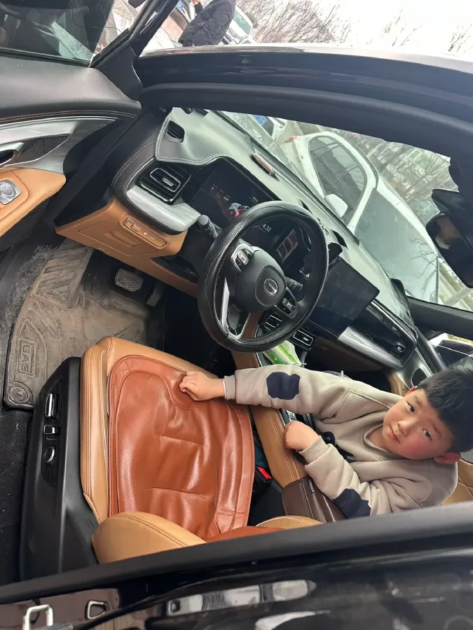 2024 GAC Trumpchi GS8 2.0T 252HP L4 8AT,autocango,china used car exporter,china ev exporter,chinese used car exporter,chinese used ev exporter