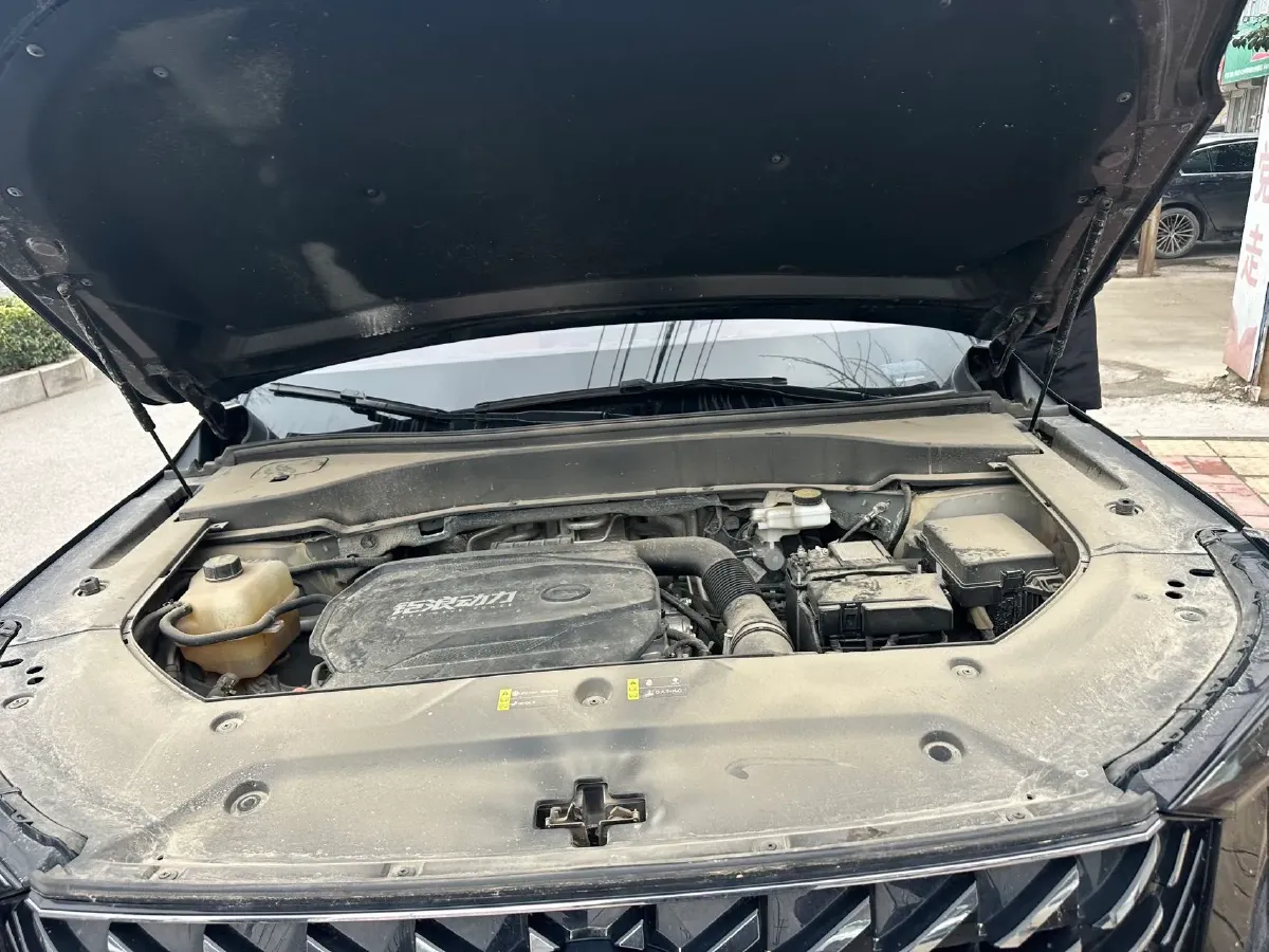 2024 GAC Trumpchi GS8 2.0T 252HP L4 8AT,autocango,china used car exporter,china ev exporter,chinese used car exporter,chinese used ev exporter