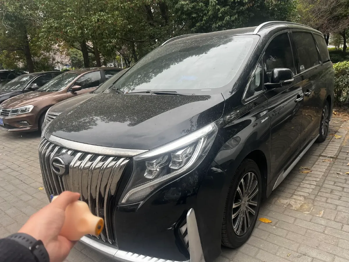 2021 GAC Trumpchi M8 2.0T 252HP L4 8AT,autocango,china used car exporter,china ev exporter,chinese used car exporter,chinese used ev exporter