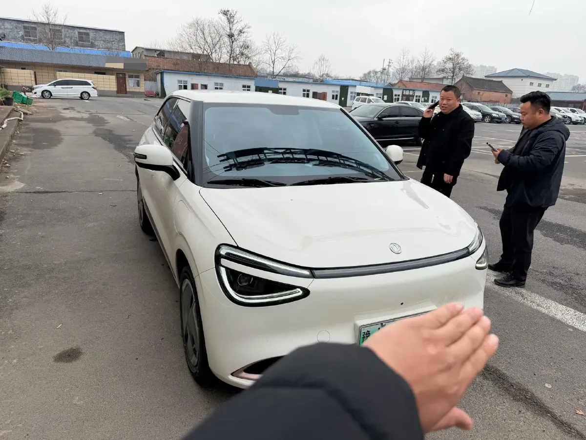 2025 DongFeng Nammi 01 BEV,autocango,china used car exporter,china ev exporter,chinese used car exporter,chinese used ev exporter