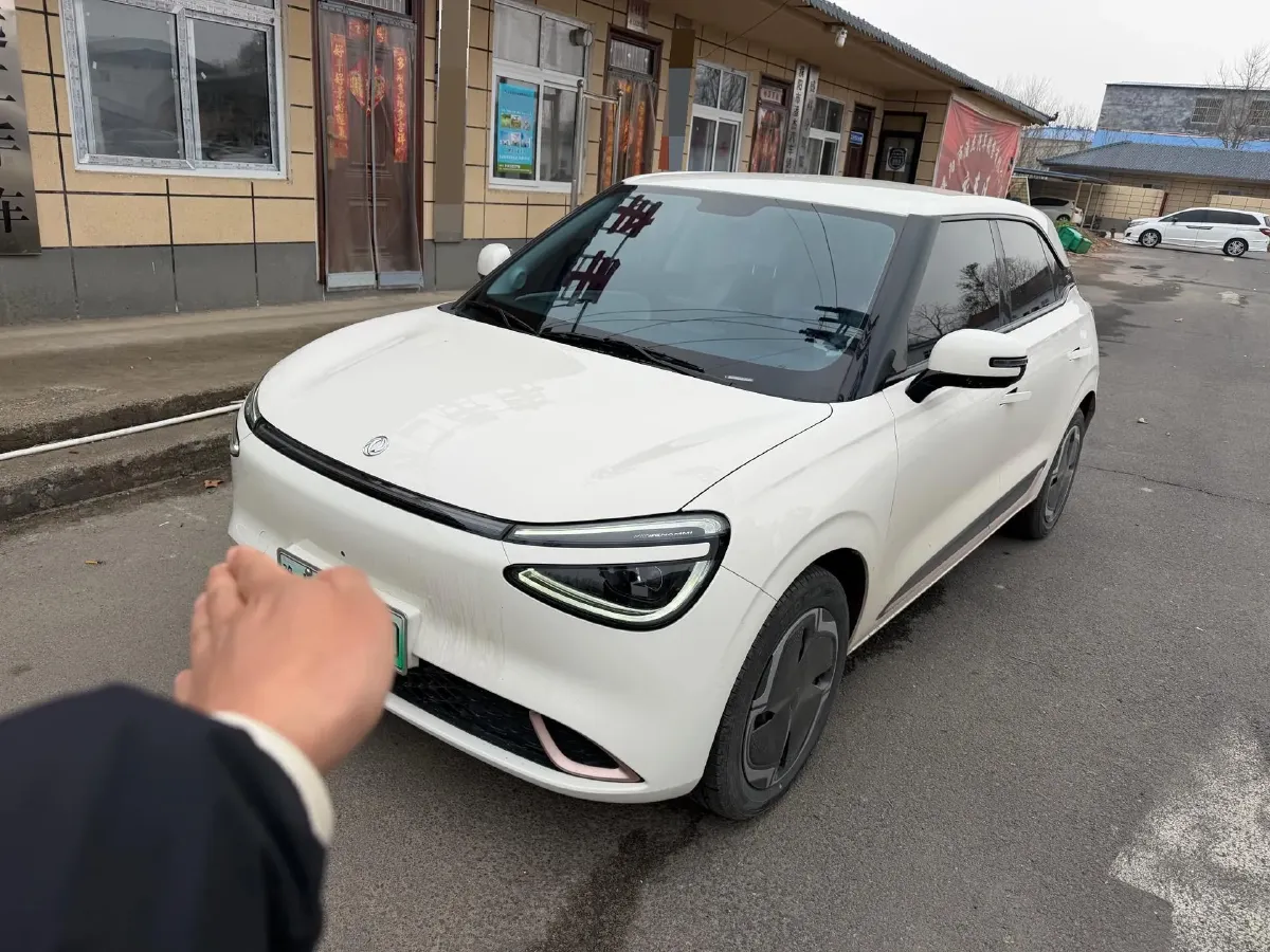 2025 DongFeng Nammi 01 BEV,autocango,china used car exporter,china ev exporter,chinese used car exporter,chinese used ev exporter