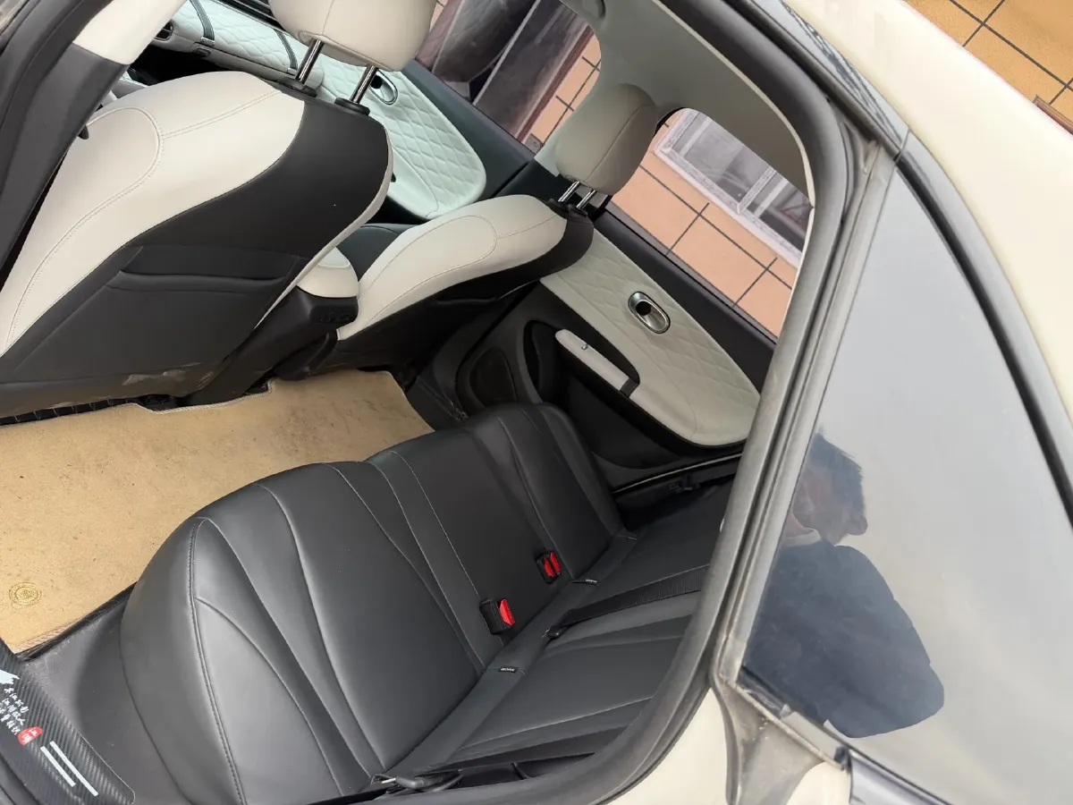 2025 DongFeng Nammi 01 BEV,autocango,china used car exporter,china ev exporter,chinese used car exporter,chinese used ev exporter