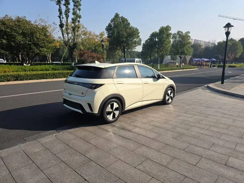 2023 BYD Dolphin BEV 44.928KWH,autocango,china used car exporter,china ev exporter,chinese used car exporter,chinese used ev exporter