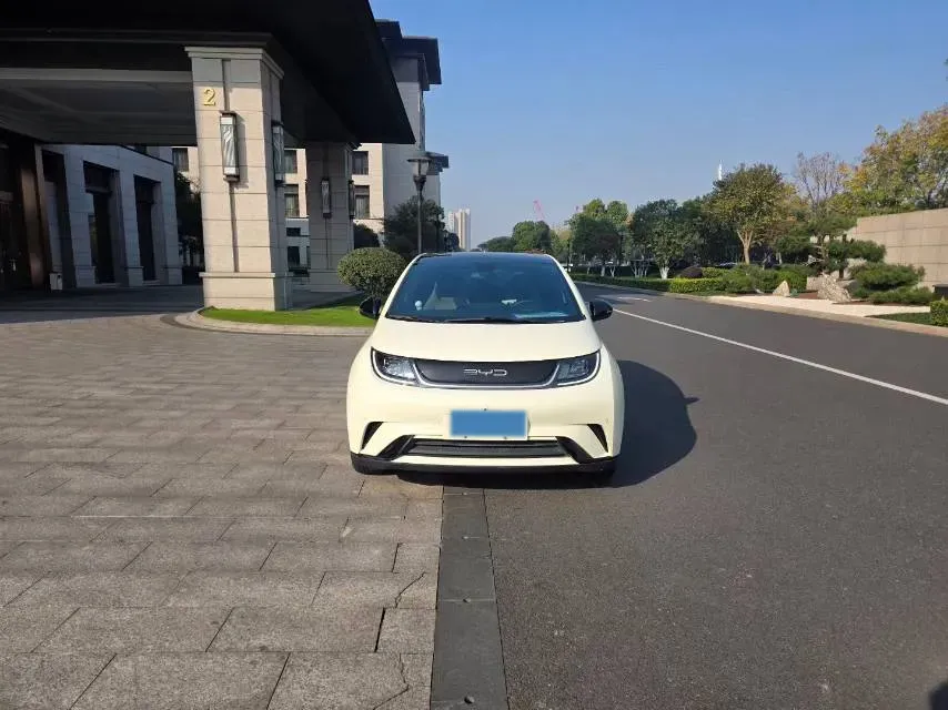 2023 BYD Dolphin BEV 44.928KWH,autocango,china used car exporter,china ev exporter,chinese used car exporter,chinese used ev exporter