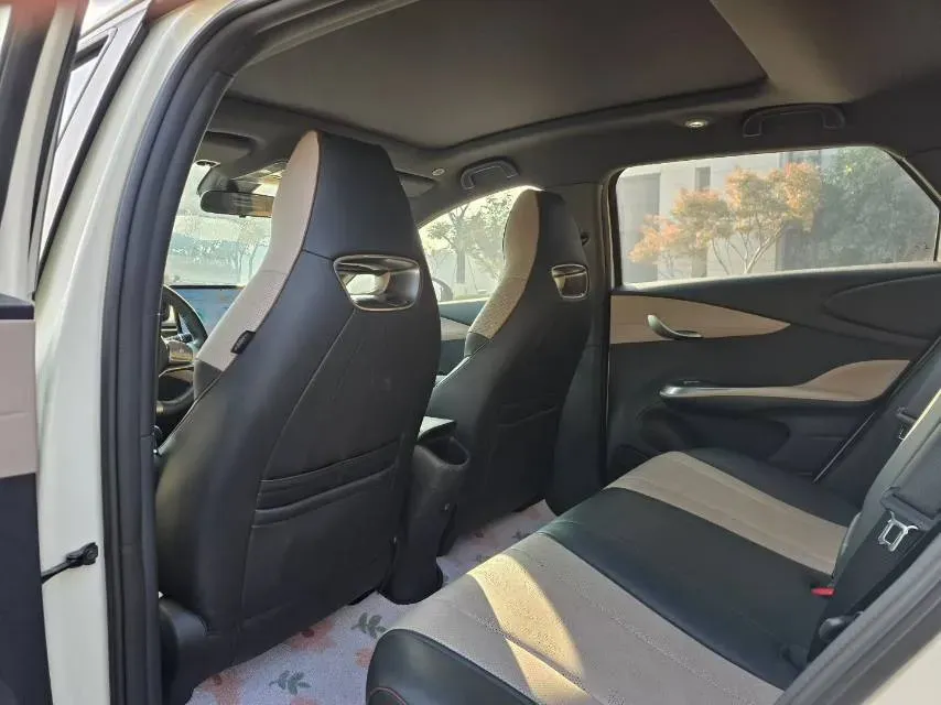 2023 BYD Dolphin BEV 44.928KWH,autocango,china used car exporter,china ev exporter,chinese used car exporter,chinese used ev exporter