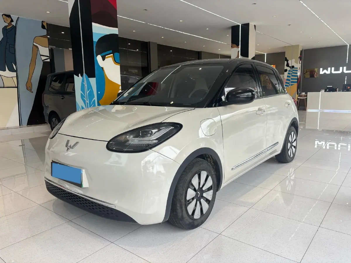2023 WuLing BinGuo BEV 31.9KWH,autocango,china used car exporter,china ev exporter,chinese used car exporter,chinese used ev exporter