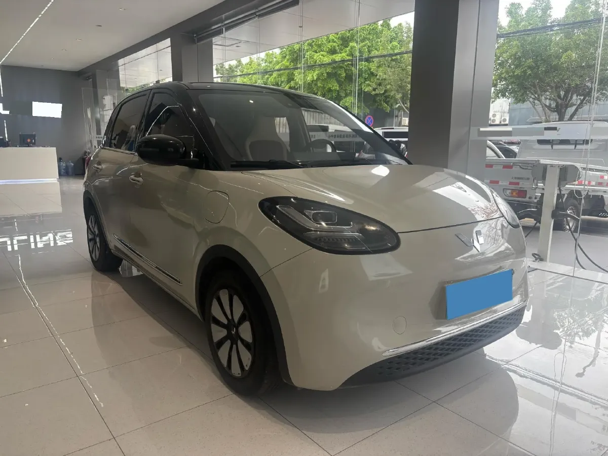 2023 WuLing BinGuo BEV 31.9KWH,autocango,china used car exporter,china ev exporter,chinese used car exporter,chinese used ev exporter