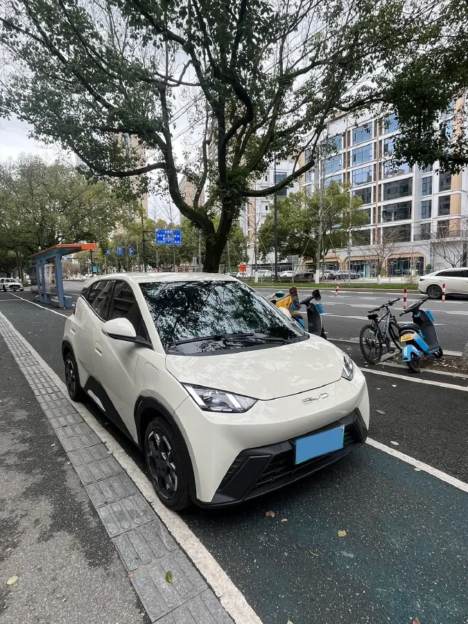 2025 BYD Seagull BEV 30.08KWH,autocango,china used car exporter,china ev exporter,chinese used car exporter,chinese used ev exporter