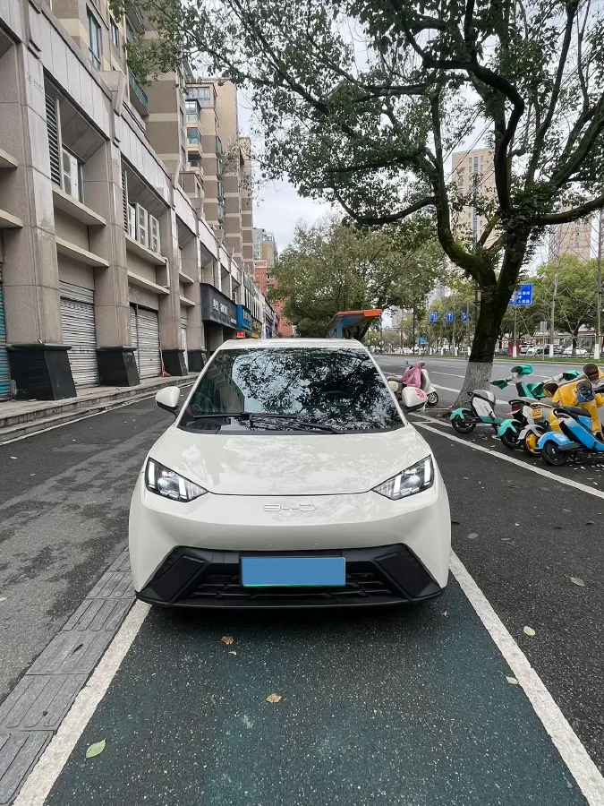 2025 BYD Seagull BEV 30.08KWH,autocango,china used car exporter,china ev exporter,chinese used car exporter,chinese used ev exporter