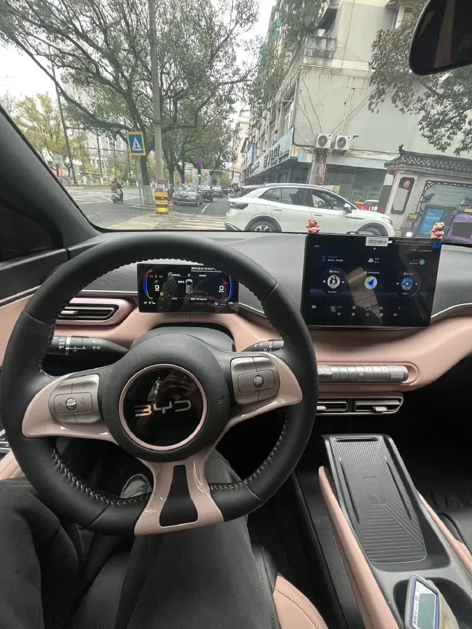 2025 BYD Seagull BEV 30.08KWH,autocango,china used car exporter,china ev exporter,chinese used car exporter,chinese used ev exporter