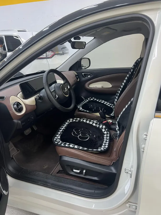 2023 WuLing BinGuo BEV 31.9KWH,autocango,china used car exporter,china ev exporter,chinese used car exporter,chinese used ev exporter