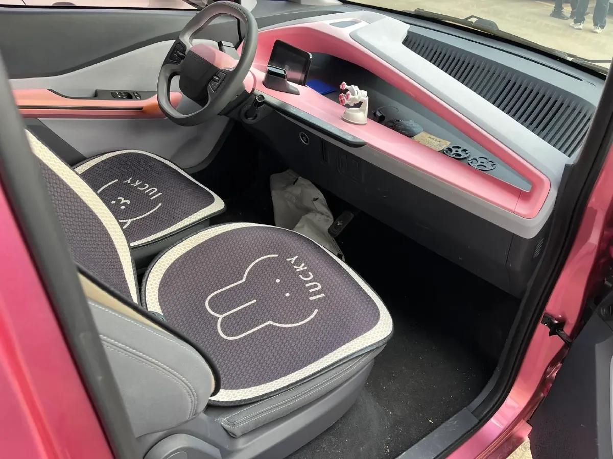 2019 ChangAn Kaicene RuiXing EM80 BEV 46.25KWH,autocango,china used car exporter,china ev exporter,chinese used car exporter,chinese used ev exporter