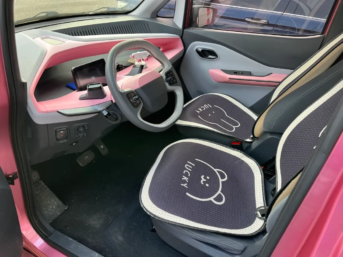 2019 ChangAn Kaicene RuiXing EM80 BEV 46.25KWH,autocango,china used car exporter,china ev exporter,chinese used car exporter,chinese used ev exporter