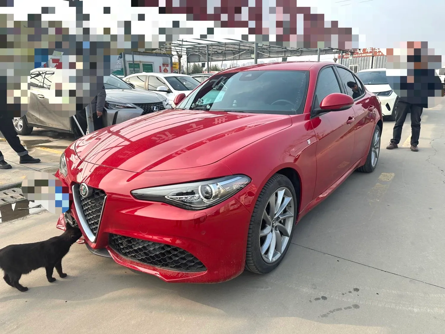 autocango,china used car exporter,china ev exporter,chinese used car exporter,chinese used ev exporter