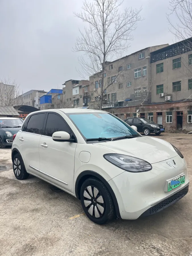 2023 WuLing BinGuo BEV 31.9KWH,autocango,china used car exporter,china ev exporter,chinese used car exporter,chinese used ev exporter