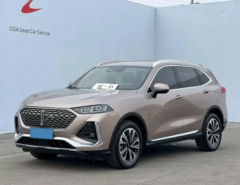 2022 WEY Latte DHT 1.5T 156HP L4 2DHT Hybrid,autocango,china used car exporter,china ev exporter,chinese used car exporter,chinese used ev exporter