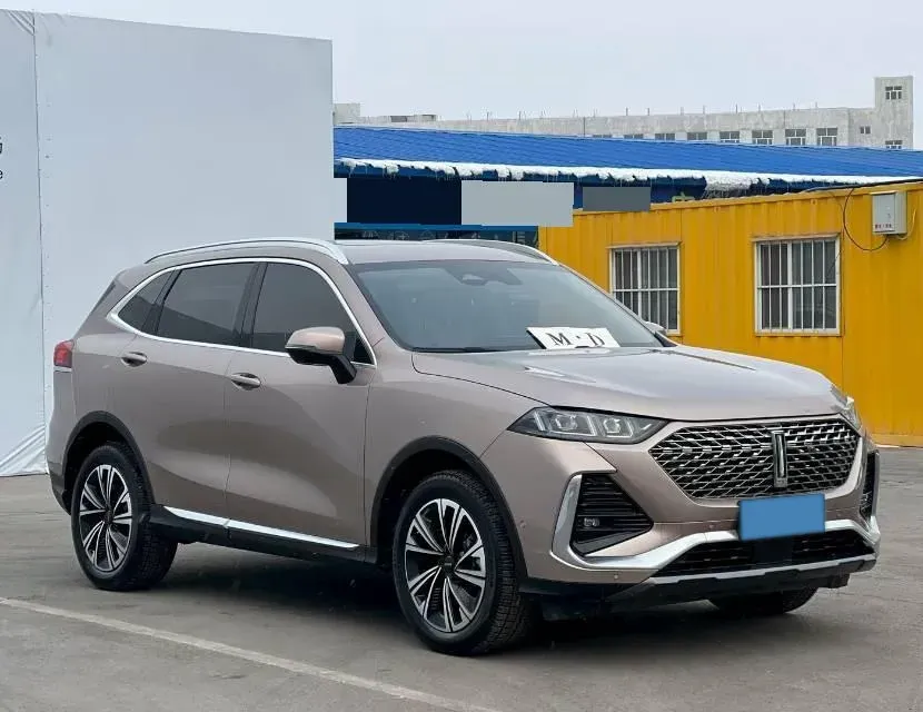 2022 WEY Latte DHT 1.5T 156HP L4 2DHT Hybrid,autocango,china used car exporter,china ev exporter,chinese used car exporter,chinese used ev exporter