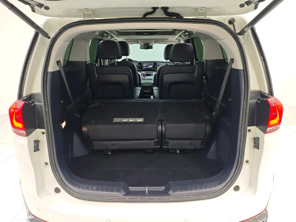 2021 GAC Trumpchi M8 2.0T 252HP L4 8AT,autocango,china used car exporter,china ev exporter,chinese used car exporter,chinese used ev exporter