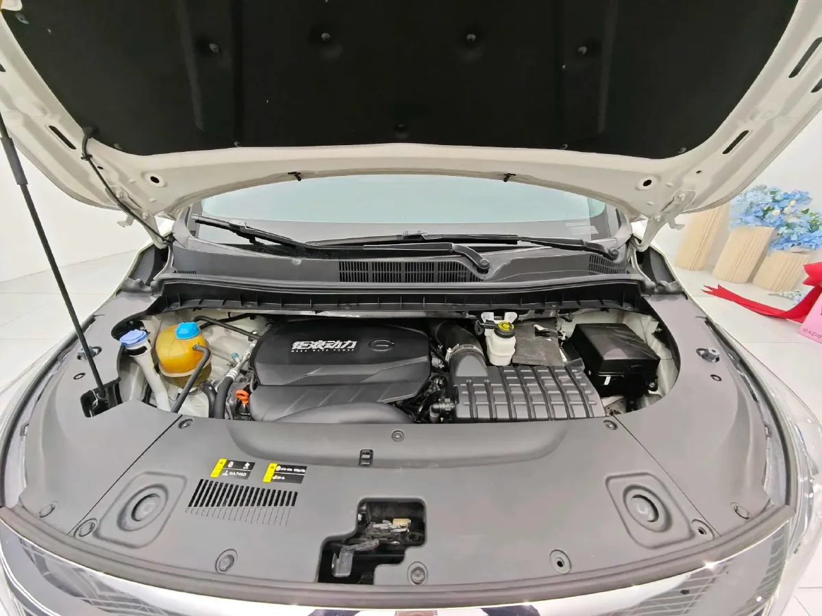 2021 GAC Trumpchi M8 2.0T 252HP L4 8AT,autocango,china used car exporter,china ev exporter,chinese used car exporter,chinese used ev exporter