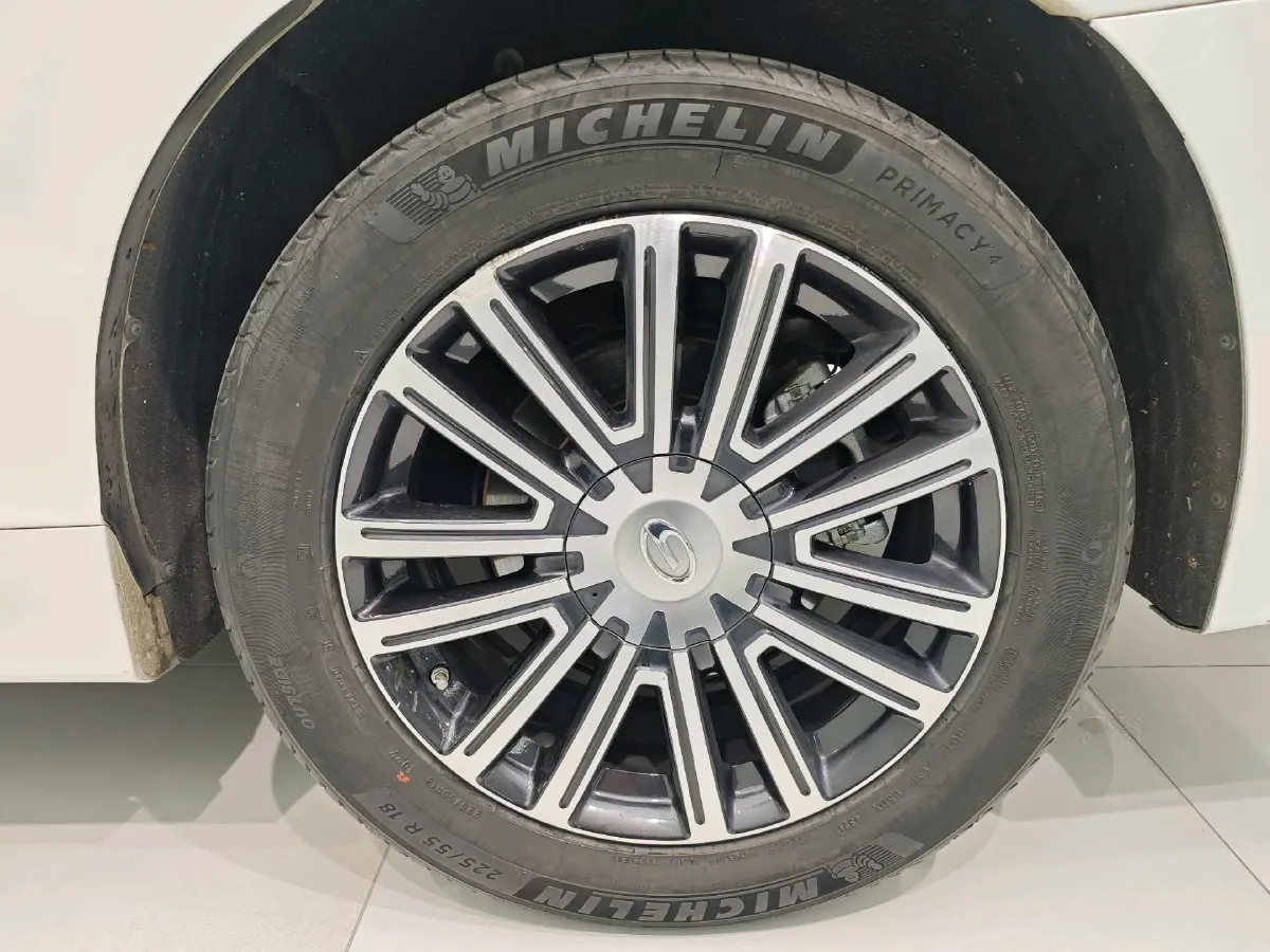 2021 GAC Trumpchi M8 2.0T 252HP L4 8AT,autocango,china used car exporter,china ev exporter,chinese used car exporter,chinese used ev exporter