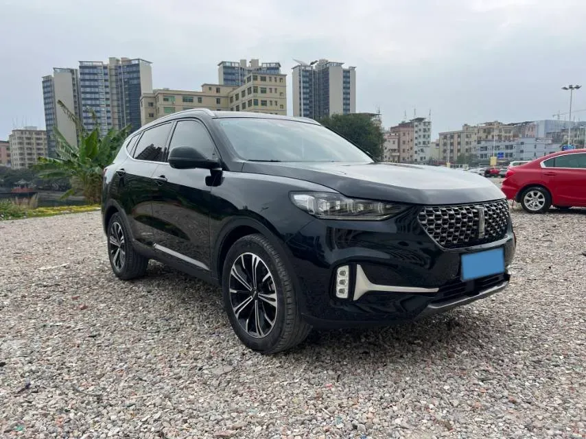 2021 WEY VV6 2.0T 227HP L4 7DCT,autocango,china used car exporter,china ev exporter,chinese used car exporter,chinese used ev exporter