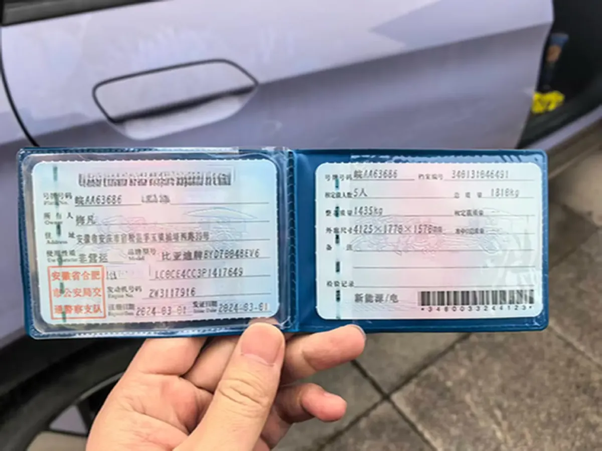 2023 BYD Dolphin BEV 44.928KWH,autocango,china used car exporter,china ev exporter,chinese used car exporter,chinese used ev exporter