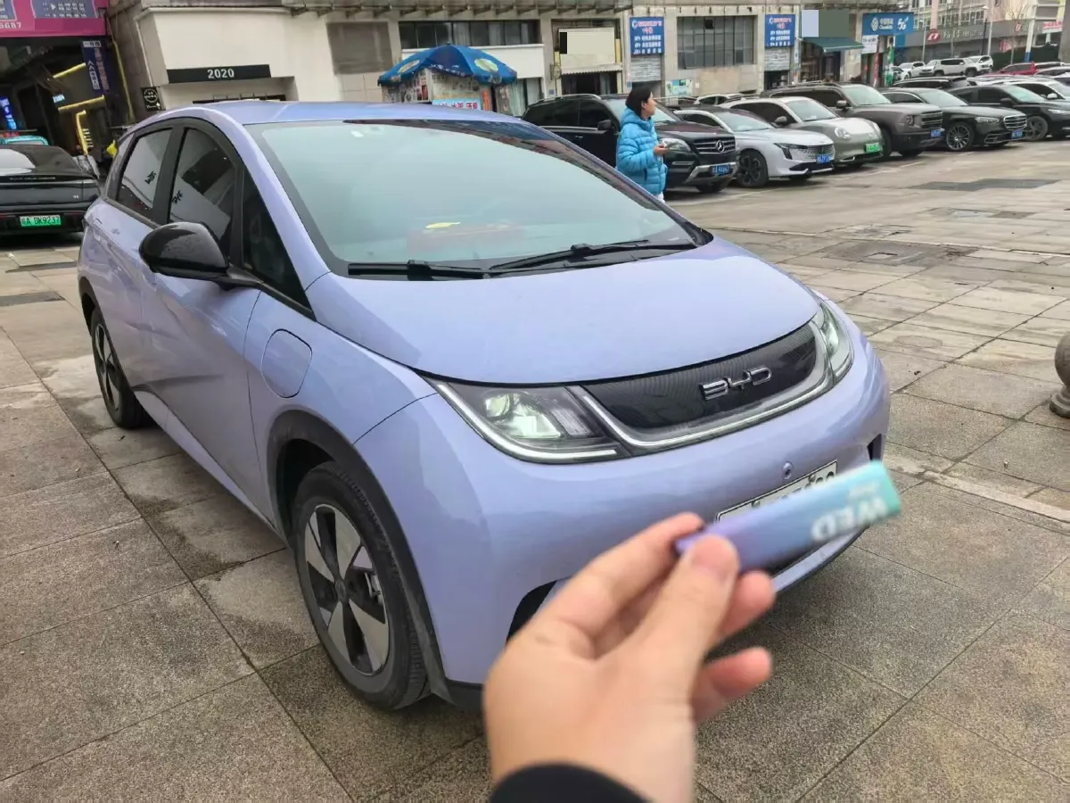 2023 BYD Dolphin BEV 44.928KWH,autocango,china used car exporter,china ev exporter,chinese used car exporter,chinese used ev exporter