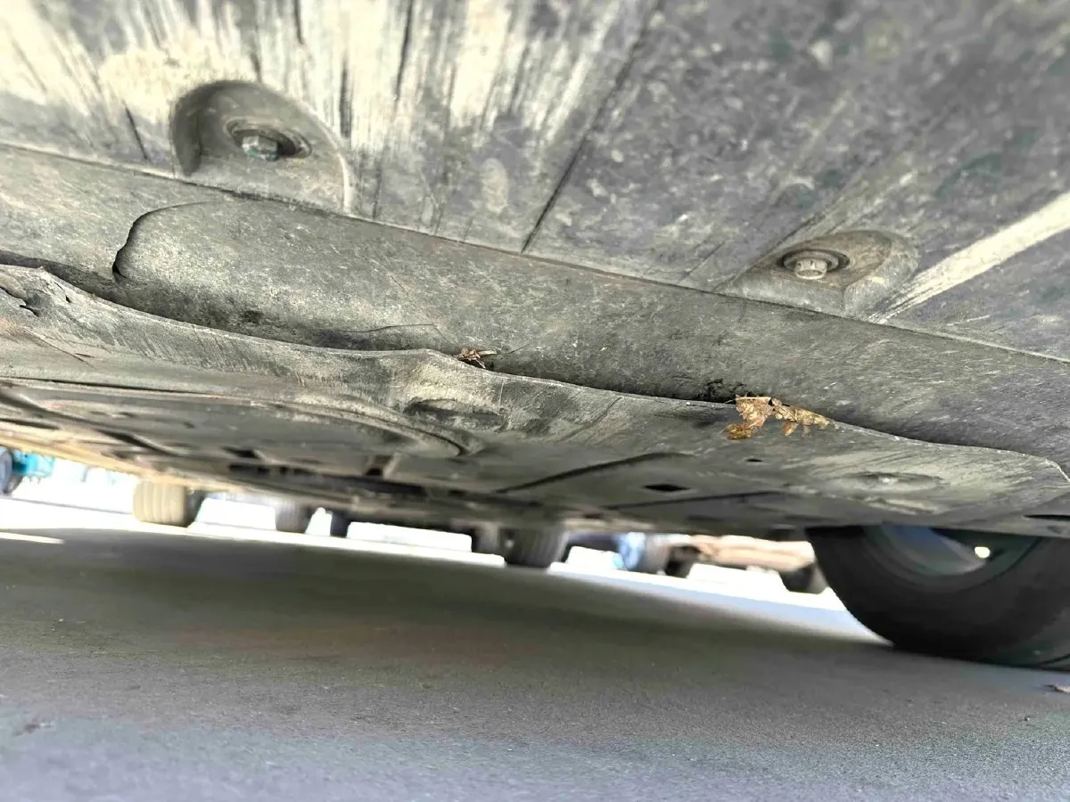 2024 BYD Seal 06 1.5L 101HP L4 E-CVT PHEV 15.87KWH,autocango,china used car exporter,china ev exporter,chinese used car exporter,chinese used ev exporter