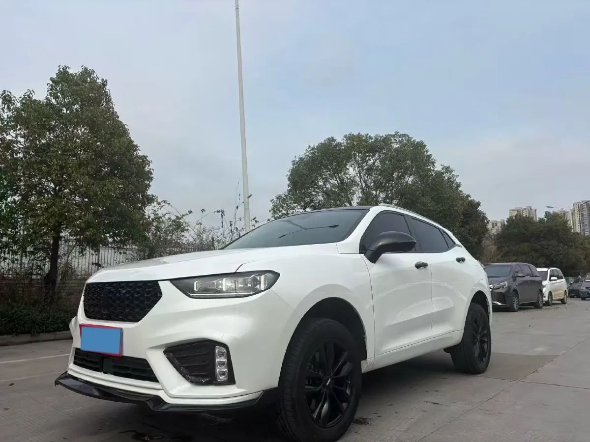 2021 WEY VV5 1.5T 171HP L4 7DCT,autocango,china used car exporter,china ev exporter,chinese used car exporter,chinese used ev exporter
