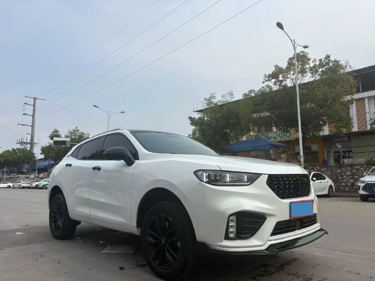 2021 WEY VV5 1.5T 171HP L4 7DCT,autocango,china used car exporter,china ev exporter,chinese used car exporter,chinese used ev exporter