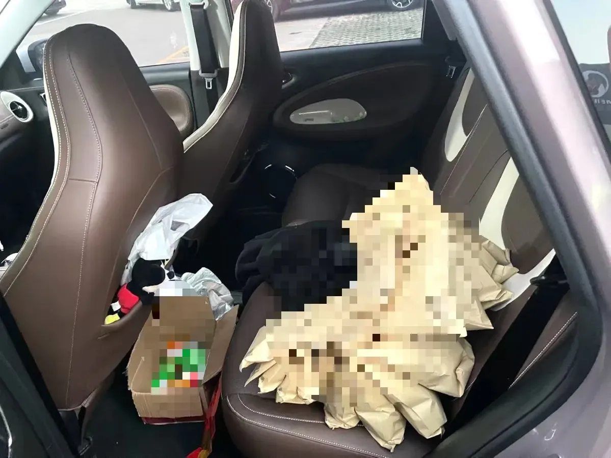 2023 WuLing BinGuo BEV 31.9KWH,autocango,china used car exporter,china ev exporter,chinese used car exporter,chinese used ev exporter