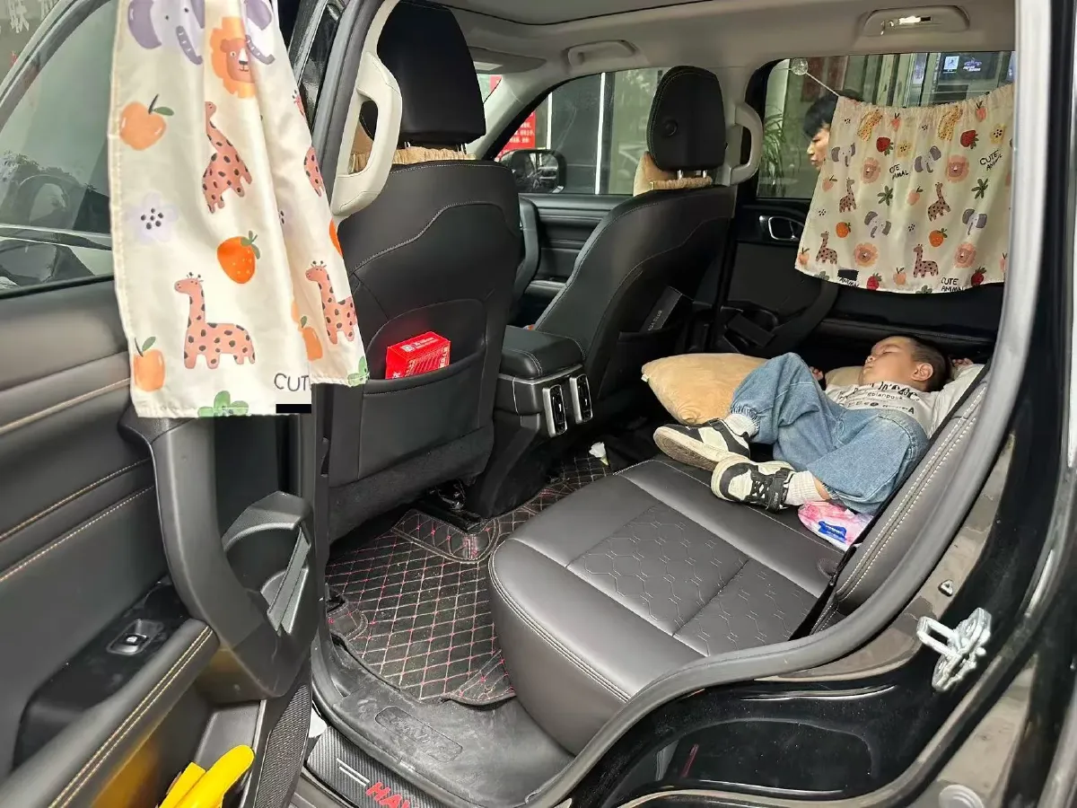 2022 Haval Dargo 1.5T 184HP L4 7DCT,autocango,china used car exporter,china ev exporter,chinese used car exporter,chinese used ev exporter