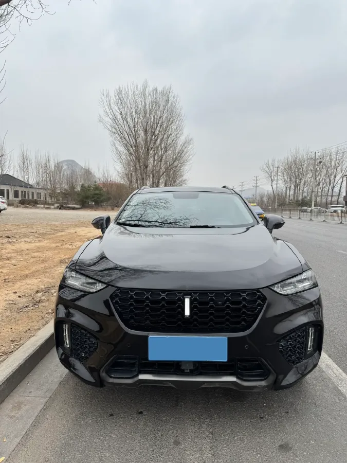 2017 WEY VV7 2.0T 234HP L4 7DCT,autocango,china used car exporter,china ev exporter,chinese used car exporter,chinese used ev exporter