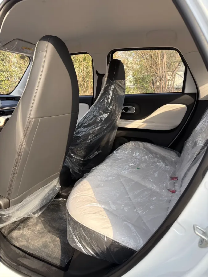 2025 Chery Duomi BEV,autocango,china used car exporter,china ev exporter,chinese used car exporter,chinese used ev exporter