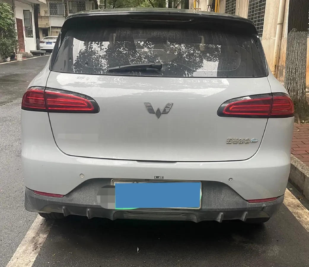 2024 WuLing BinGuoPLUS BEV 50.6KWH,autocango,china used car exporter,china ev exporter,chinese used car exporter,chinese used ev exporter