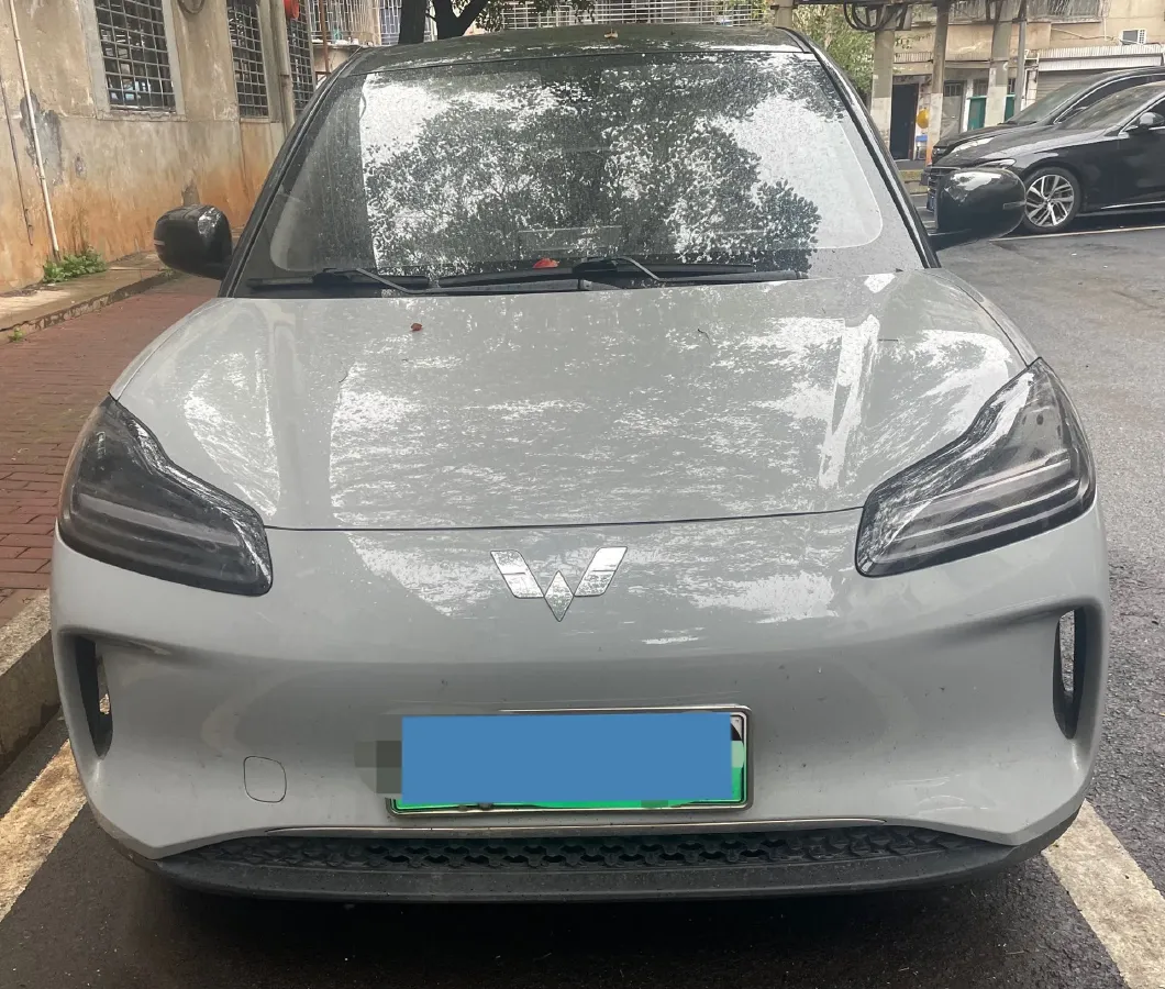 2024 WuLing BinGuoPLUS BEV 50.6KWH,autocango,china used car exporter,china ev exporter,chinese used car exporter,chinese used ev exporter