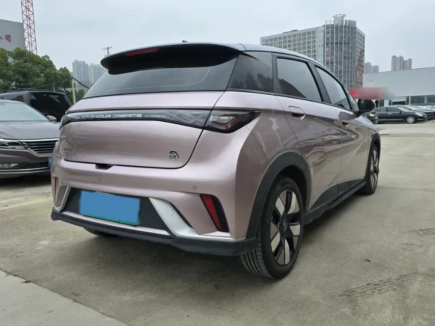 2021 BYD e2 BEV 43.2KWH,autocango,china used car exporter,china ev exporter,chinese used car exporter,chinese used ev exporter