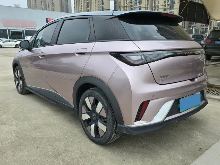 2021 BYD e2 BEV 43.2KWH,autocango,china used car exporter,china ev exporter,chinese used car exporter,chinese used ev exporter