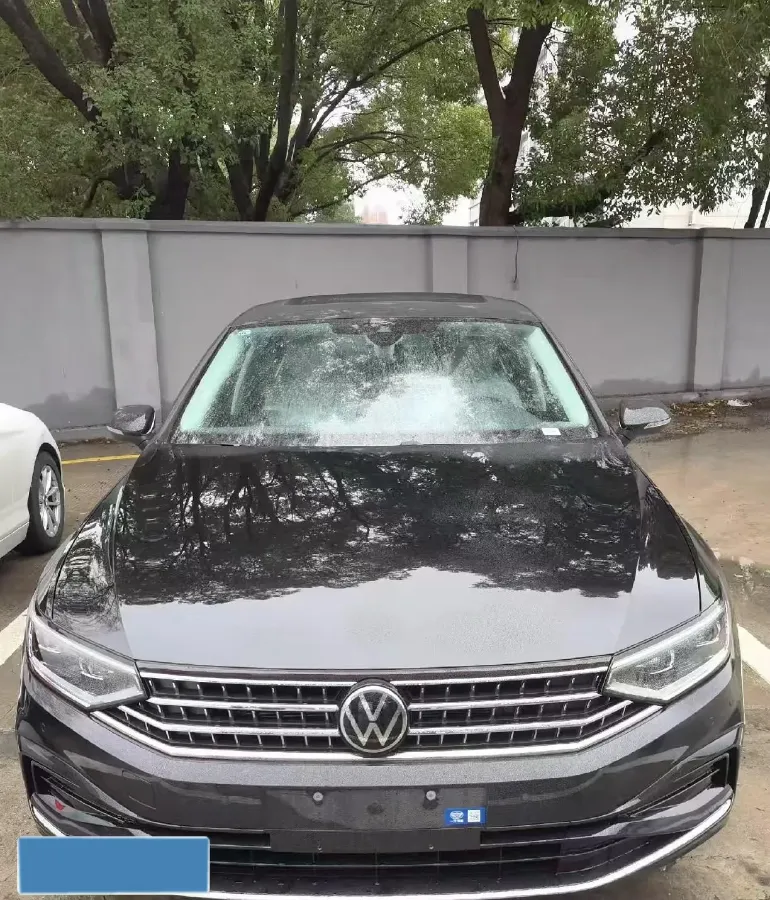 2026 Volkswagen Magotan 2.0T 220HP L4 7DCT,autocango,china used car exporter,china ev exporter,chinese used car exporter,chinese used ev exporter