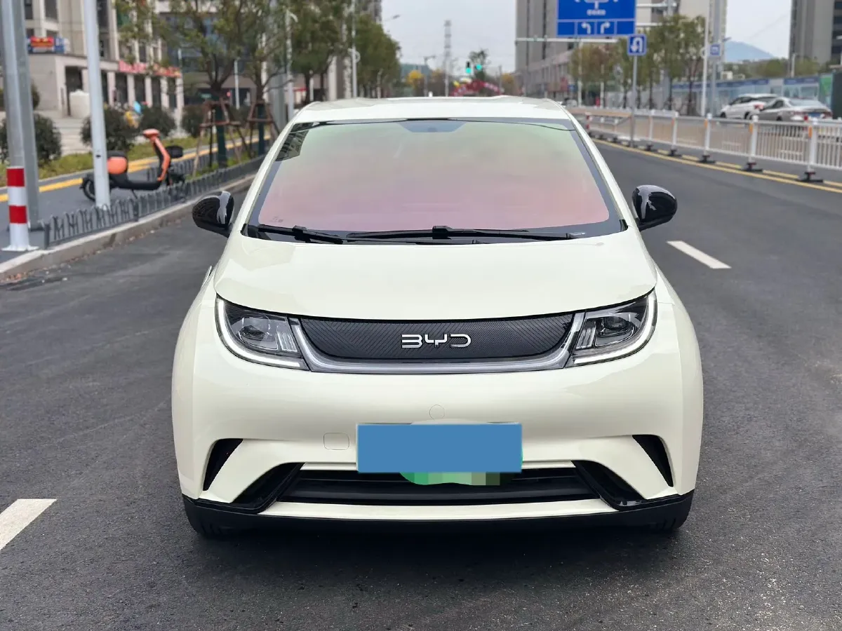 2025 BYD Dolphin BEV 44.928KWH,autocango,china used car exporter,china ev exporter,chinese used car exporter,chinese used ev exporter