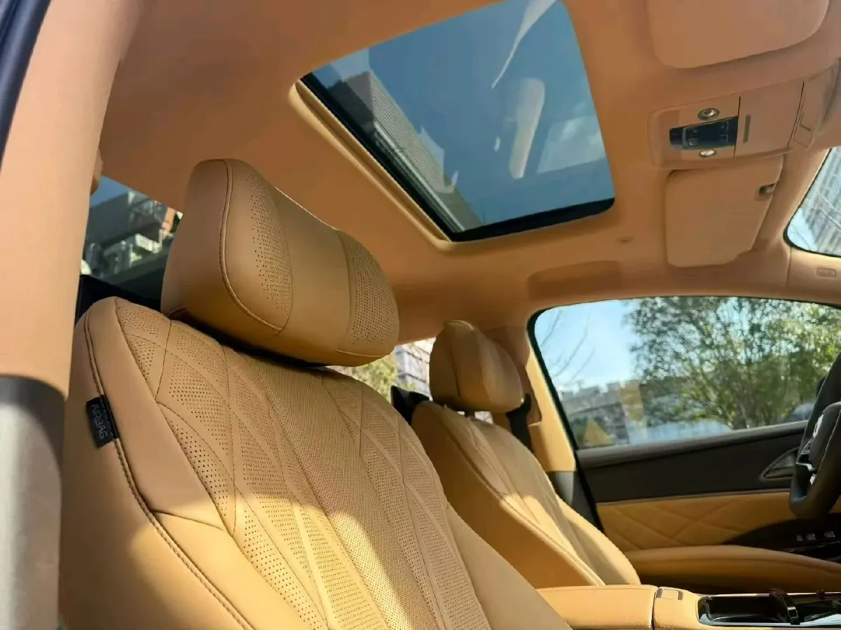 2025 Denza D9 1.5T 156HP L4 E-CVT PHEV 40KWH,autocango,china used car exporter,china ev exporter,chinese used car exporter,chinese used ev exporter