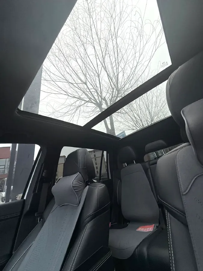 2024 GAC Trumpchi GS8 2.0T 190HP L4 E-CVT Hybrid,autocango,china used car exporter,china ev exporter,chinese used car exporter,chinese used ev exporter