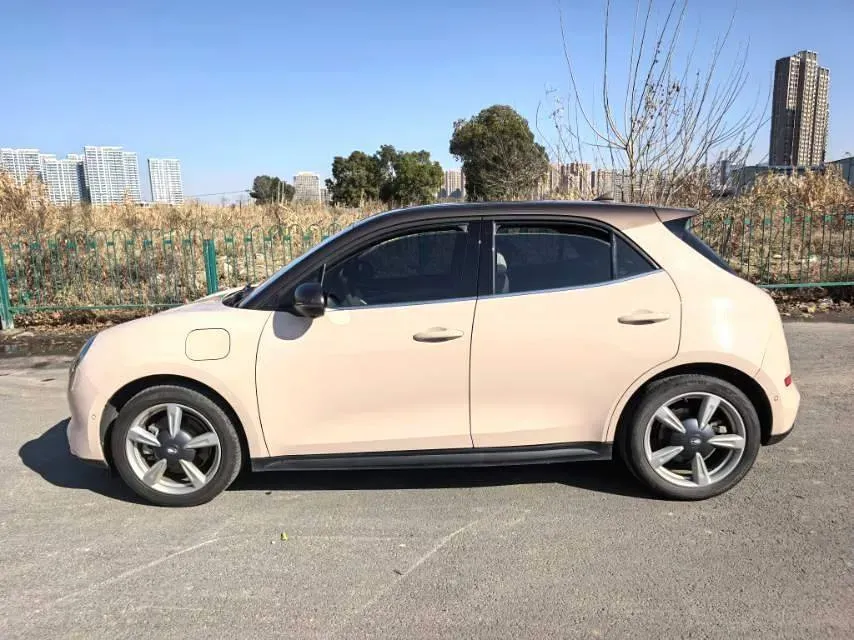 2021 Ora FunkyCat BEV 45.99KWH,autocango,china used car exporter,china ev exporter,chinese used car exporter,chinese used ev exporter