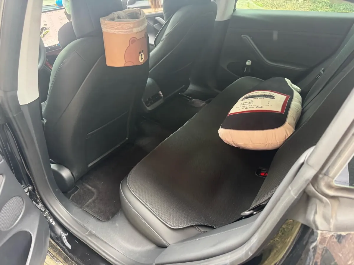 2022 Tesla Model 3 BEV 60KWH,autocango,china used car exporter,china ev exporter,chinese used car exporter,chinese used ev exporter