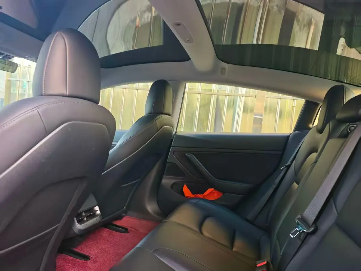 2020 Tesla Model 3 BEV 55KWH,autocango,china used car exporter,china ev exporter,chinese used car exporter,chinese used ev exporter