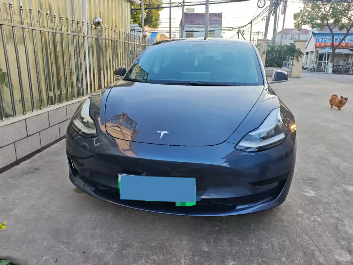 2020 Tesla Model 3 BEV 55KWH,autocango,china used car exporter,china ev exporter,chinese used car exporter,chinese used ev exporter