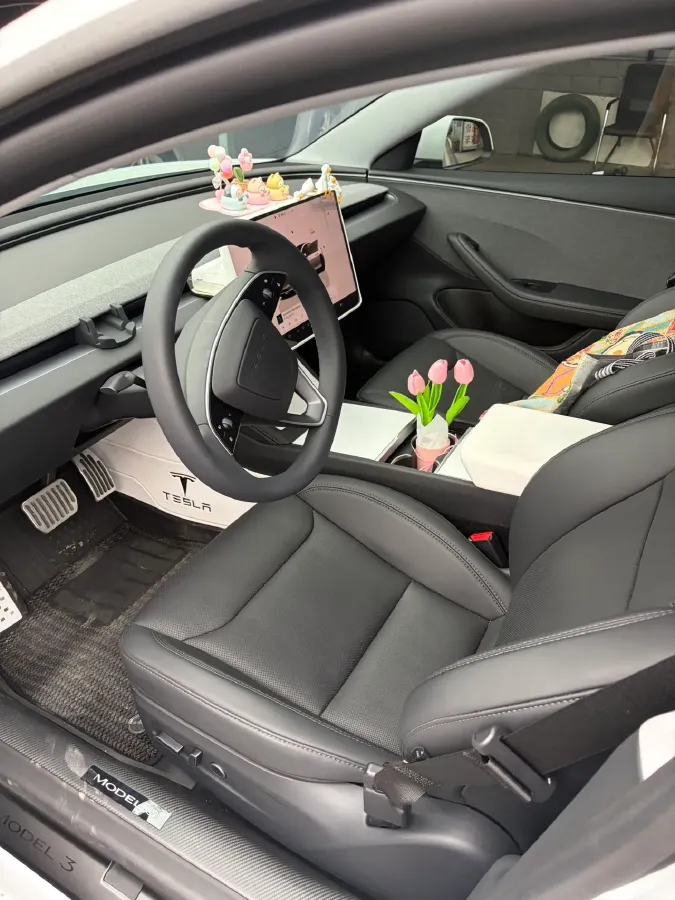 2025 Tesla Model 3 BEV 62.5KWH,autocango,china used car exporter,china ev exporter,chinese used car exporter,chinese used ev exporter