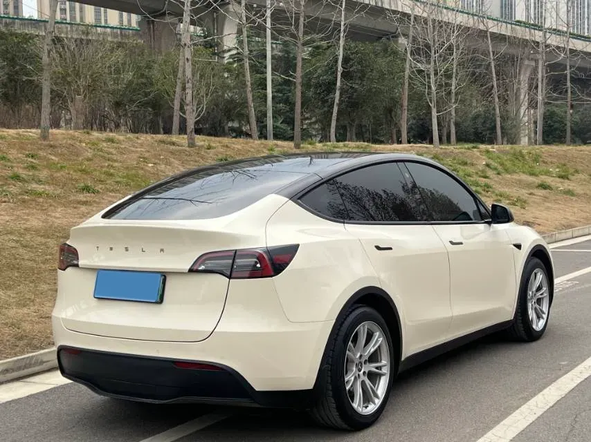 2021 Tesla Model Y BEV 60KWH,autocango,china used car exporter,china ev exporter,chinese used car exporter,chinese used ev exporter